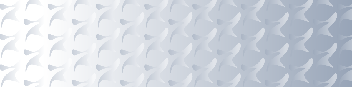 Linda Xu brand pattern